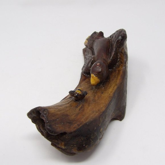 Vintage Hand Carved Hand Painted Wood Duck and Bee on Limb signed Ella Hobgood 1 - Picture 3 of 10